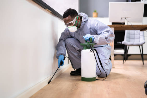 Best Residential Pest Control  in Dunlap, IL